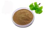 USP Grade Organic Ginkgo Biloba Powder