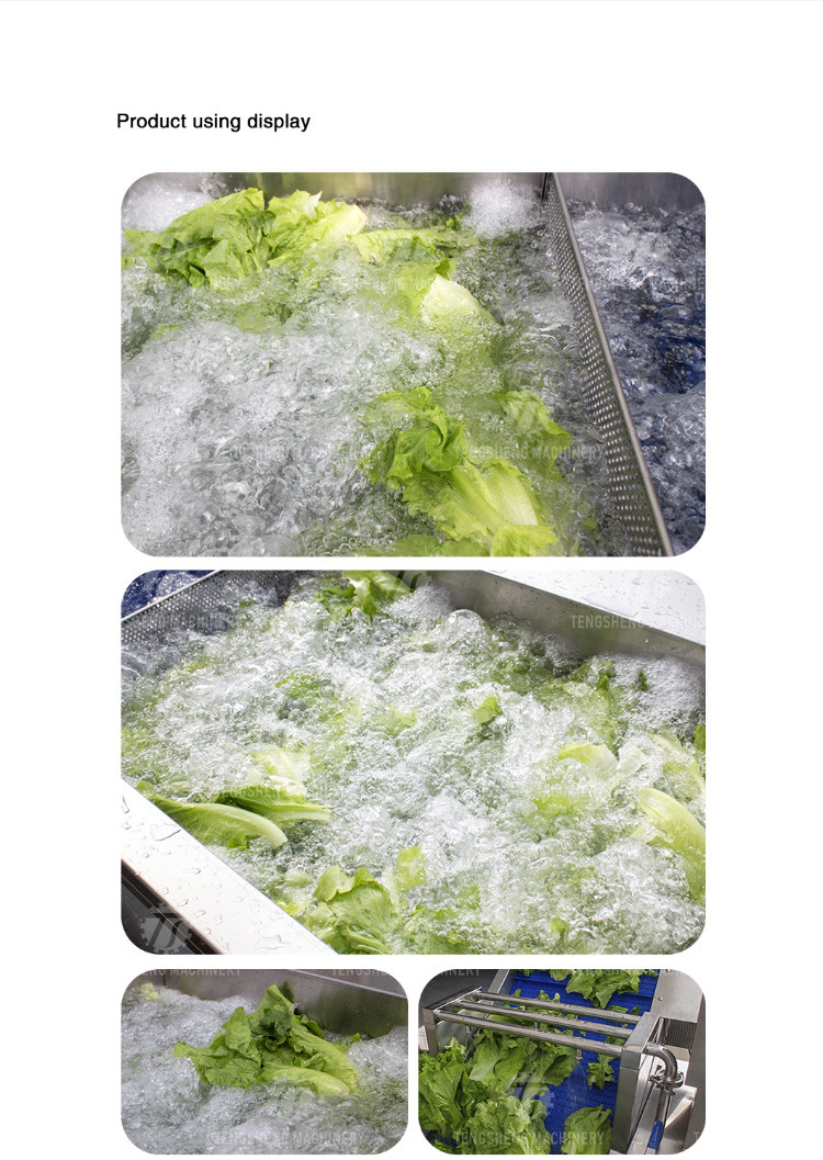Tengsheng Fruit And Vegetable Washing Machine Pests Eliminating Saint Dragon Fruit