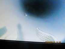 Pipeline Inspection ROV VVL-GA220-4