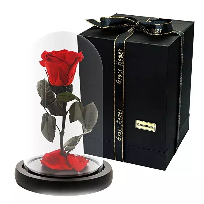 Wholesale Price beauty and the beast roses preserved roses in glass dome