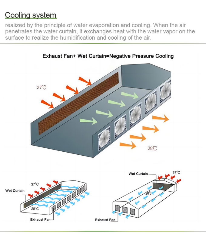 Double Layer PE Film Multi Span Film Greenhouse With Hydroponic System
