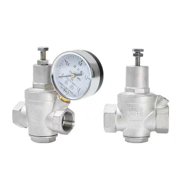 Piston Type Pressure Relief Valve with Internal Thread CF8