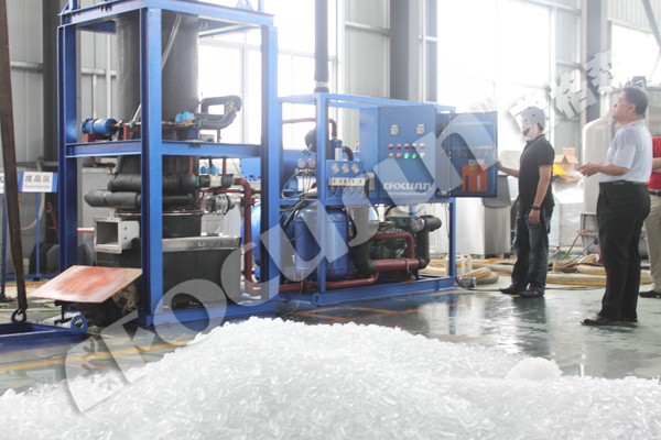 10 Tons Water-Cooled Tube Ice Making Machine with in Need of R404a/R22 Refrigerant