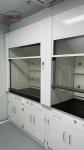 Reliable Industrial Laboratory Fume Hood Lab Fume Cabinet with Explosion-proof