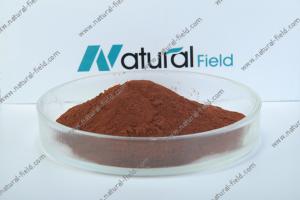 China ISO &amp; BV China manufacturer of pygeum africanum bark extract wholesale