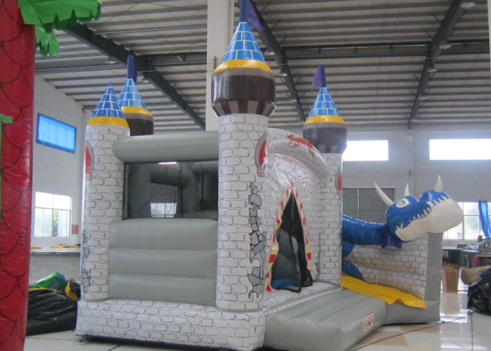 Digital Printing Dragon Large Bouncy Castle , Waterproof Princess Jumping Castle