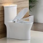 Water Saving Siphon Single Piece Toilet Upper Cistern Peeping Chinese Toilet