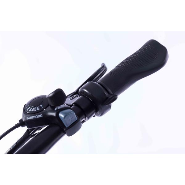 20 Inch 350W Electric Folding Fat Bike CE Certificate Waterproof In Rain