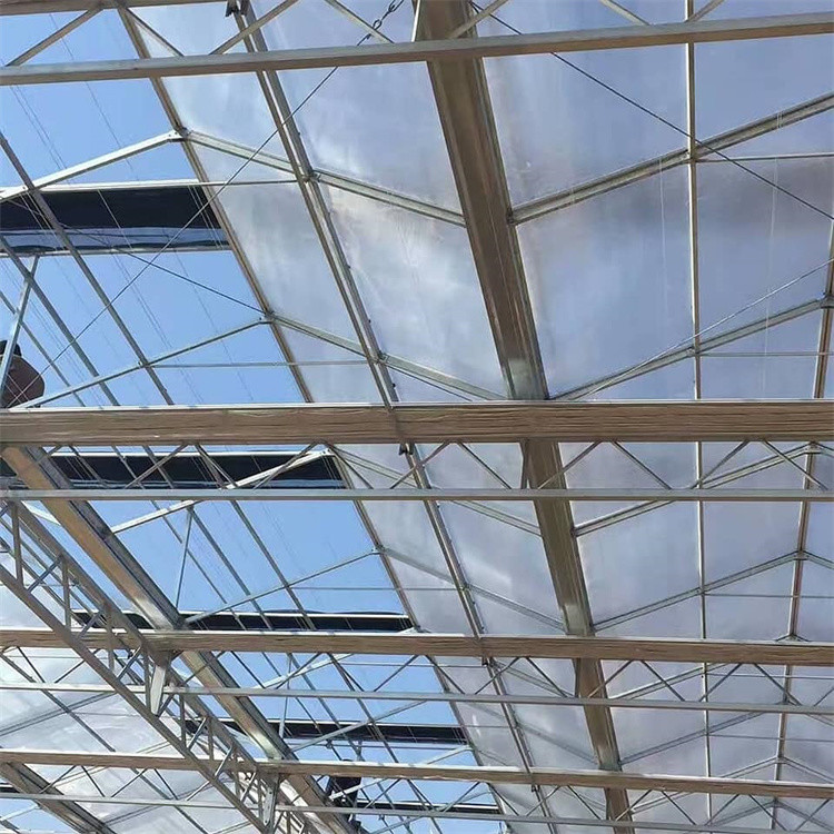 Multi Span Venlo Glass Greenhouse 140mm/H Capacity ISO9001 Certificated