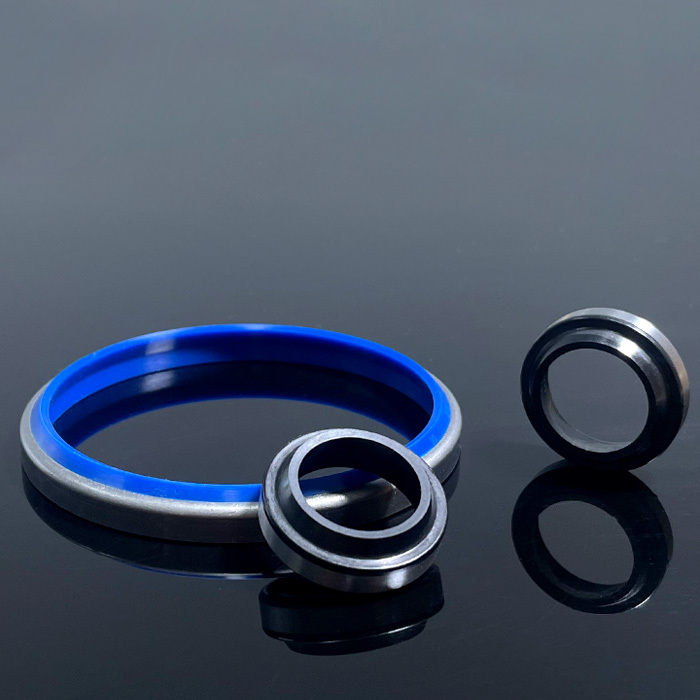 Ga Dustproof Ring Oil Seal cross-section view