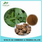 Aloe Gel Freeze-dried Extract powder 100:1