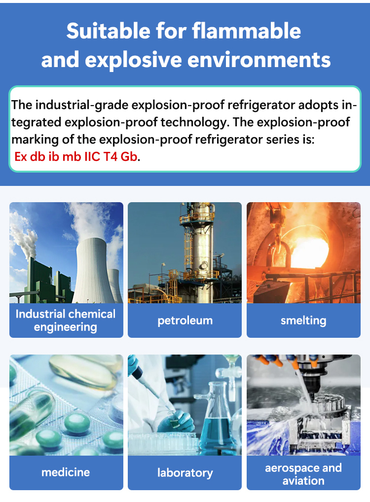 Industrial Explosion-proof Refrigerator Single Temperature Refrigeration Equipment For Hazardous Areas