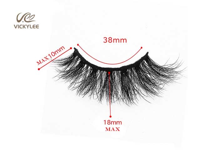 Reusable 10 Times Wispy 15MM 3D Volume Lashes