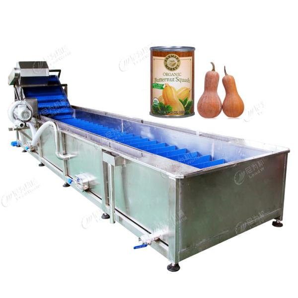 Automatic Bubble Fruit And Vegetable Apricot Washing Cleaning Equipment Line