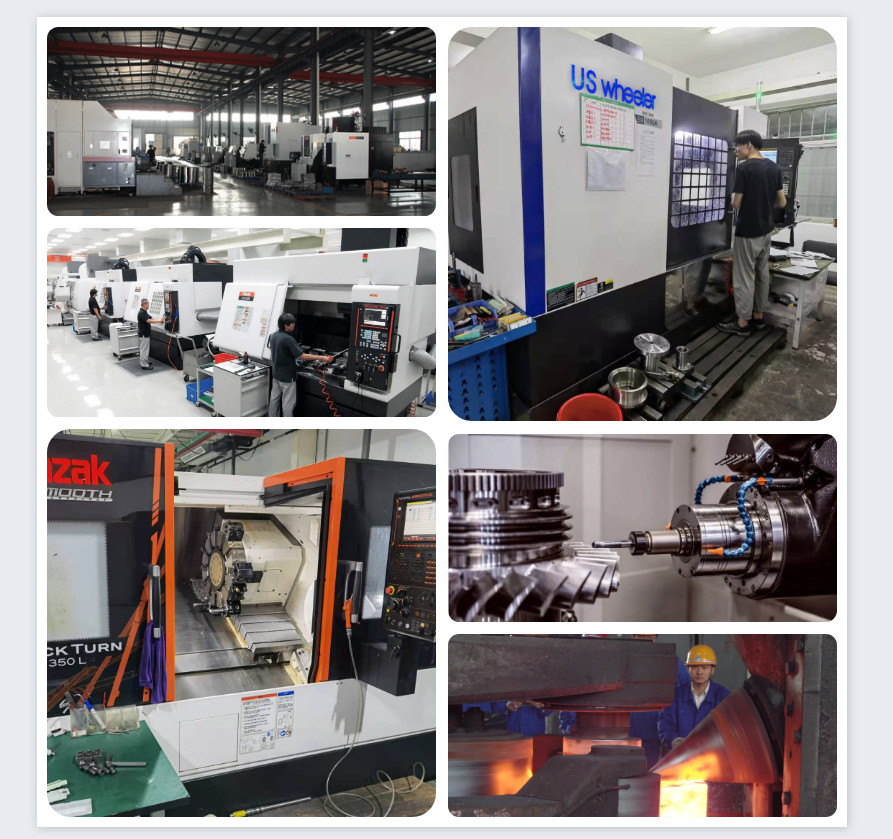 Alloy Steel Forged Ring CNC Precision Machining Parts F304L F316L For Medicine Faction Tower Crystallation Pot