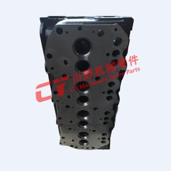 1103902N05 1103944G01 1103944H01 1103943G03 Diesel Engine Cylinder Heads for