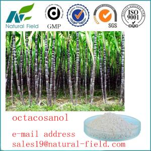 China China manufacturer Octacosanol wholesale