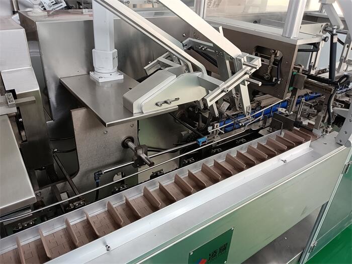 Automatic Customizable Pharma Packing Machine for Alu/Alu Tray Labeling