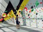 NO Inflatable Indoor Outdoor Rock Climbing Walls With Climbing Holds