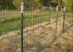 Pvc Coated Steel Studded T Post For Garden Fence