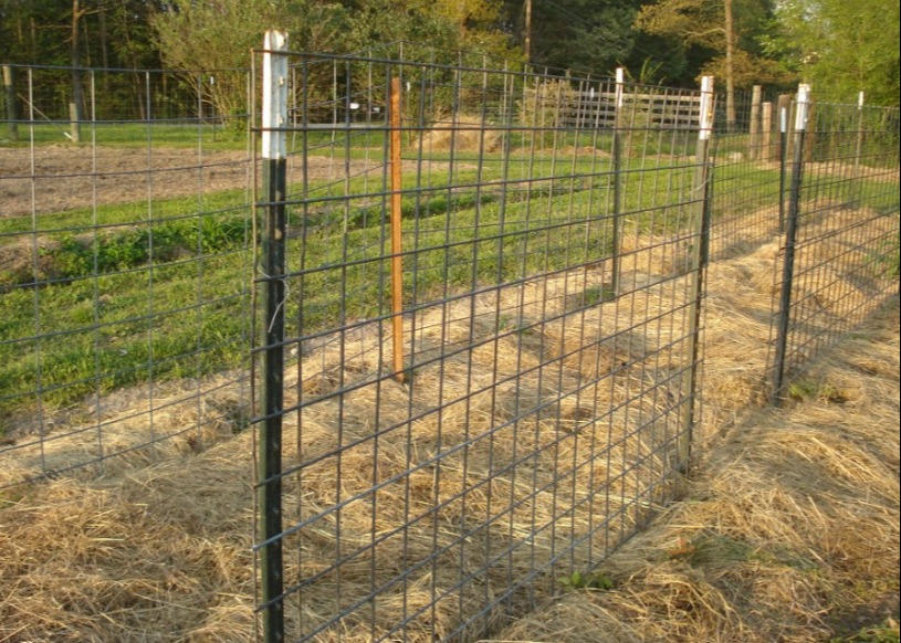 American Farm 6 Ft Studded T Fence Post Barbed Wire Galvanized Iron Green Metal
