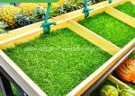 High-Density PP 20mm Artificial Grass Mat For Supermarket Goods Shelves
