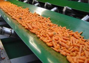 China Green PVC Conveyor Belt Thickness 2 - 13 Mm wholesale
