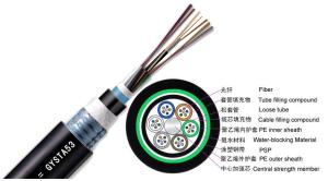 China GYTA53 Loose Tube Direct Burial Outdoor Fiber Optic Cable 2 - 144 Strand Armored Ethernet Cable wholesale