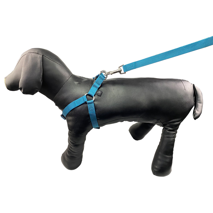 Padded Dog Harness Set Soft Durable No Pull Dog Harness Easy To Clean