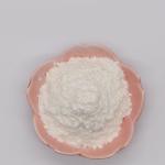 Pharmaceutical Grade Papaya Contains Papain Customized Papain Food Grade