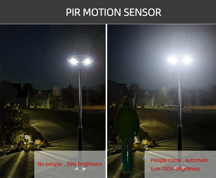 Chinese factory Led outdoor lighting solar power Light control + body induction solar light for street lighting