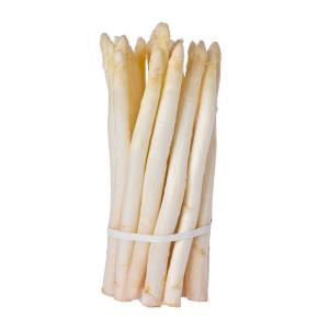 China IQF Frozen White Asparagus Whole Spear wholesale