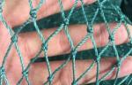 Green Commercial Fishing Net 1mm-8mm Twine Diameter 10mm-1500mm Mesh Size