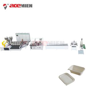 China Biodegradable PP Disposable Lunch Box Making Machine wholesale