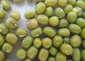 China Mung Beans Natural Agricultural Products For Food wholesale