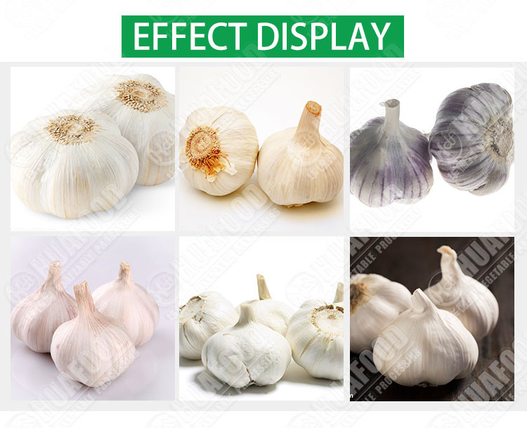 Electric Fresh Onion Garlic Root Cutting Machine 2.8KW 500mm