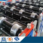 PPGI Sheet Roll Forming Machine in China/Color Roofing Tile Steel Forming