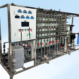 China 1 T/H Stainless Steel Ultrapure Water Equipment with EDI wholesale