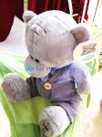 2016 Tatty Teddy Bear Good Hearted Lucky Toy For Kindness Person Good Wished