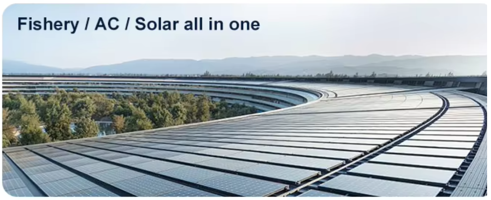 All In One Ess Energy Storage System sing Phase 220v/230v Hybrid Inverter all In One Off Grid Solar System