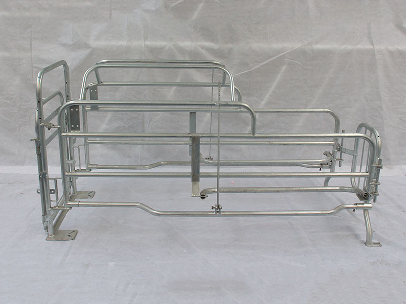 High quality cheap price automatic farrowing crate for pigs sow sty farming equipment for sale