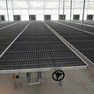 China 1.735m Greenhouse Rolling Tables PE Material Rolling Top Greenhouse Benches For Rose Orchid wholesale