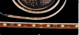China white LED Strip Lights SMD3825 SMD5050 Waterproof IP65 Flexible wholesale