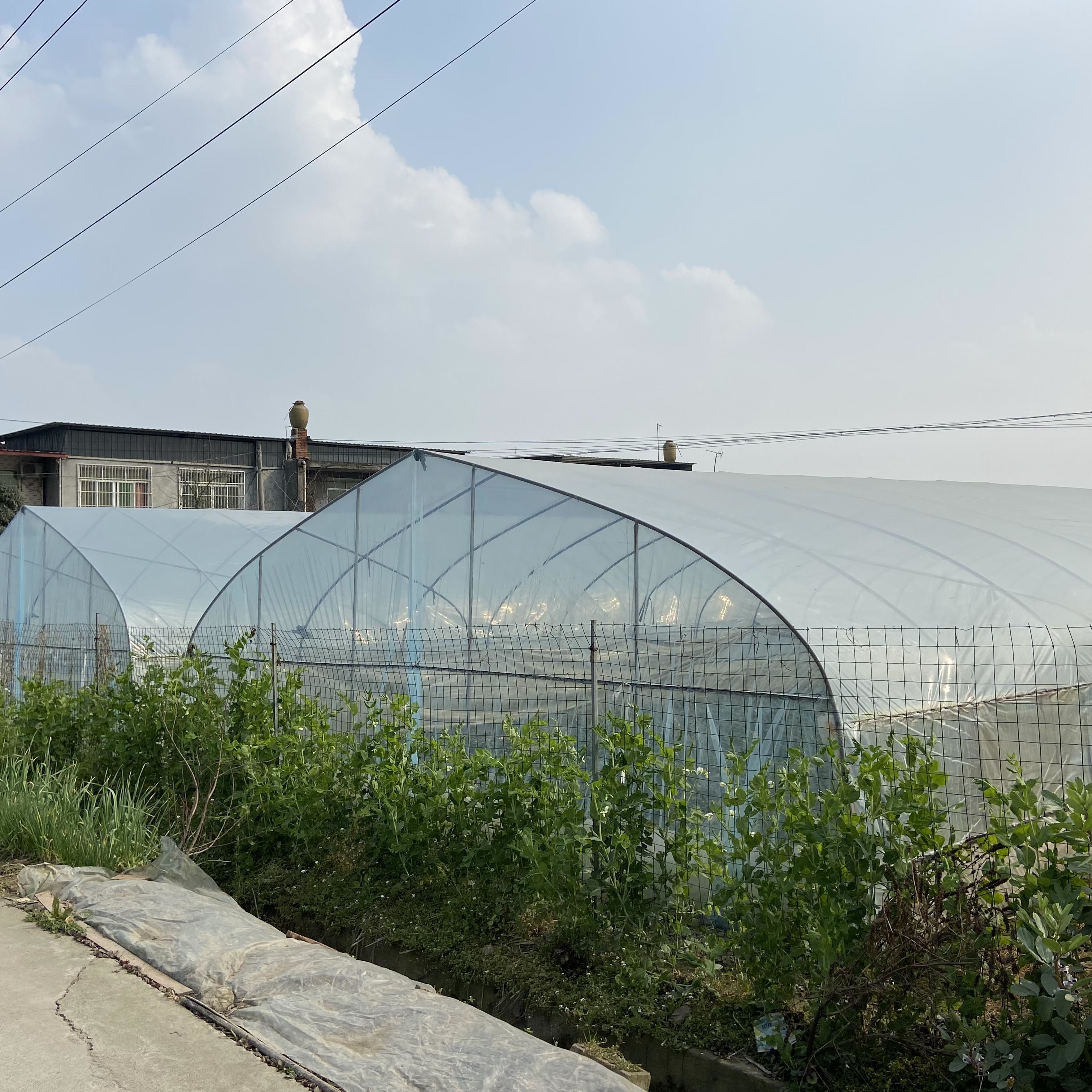 Polyethylene Film Greenhouse Agritulture Tunnel Plastic Greenhouse For Plant Growth