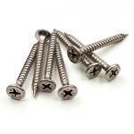 Stainless Steel Wood Working Screws Corrosion Resistant Dry Wall Screw Coarse