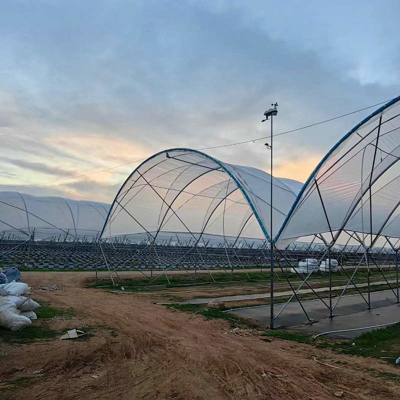 Good Quality Poly Tunnel Low Cost Hot Sale Polytunnel Berry Greenhouse