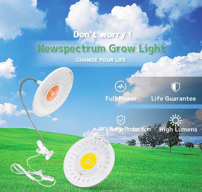 AC110V 220V Full Spectrum Cob Led Aluminum Material For Indoor Greenhouse