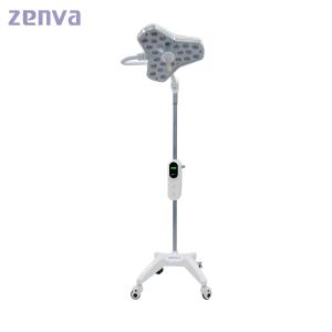 China Clinic Aluminum Alloy Surgical OT Lamp Battery Medical Operated Lights For Hospital wholesale