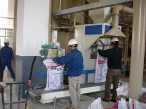 China 12th Industrial Pellet Mill Wood Sawdust Pellet Maker wholesale