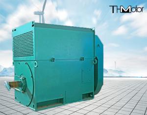 China Y800 Series Water Pump Electric Induction High Voltage Electric Motors H710-1000 wholesale